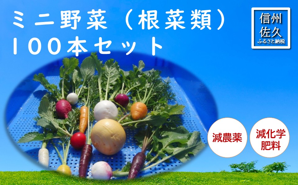 長野県佐久市産『ミニ野菜(根菜類)100本セット』（北海道・沖縄・離島は配送不可） 高原野菜 産地直送 新鮮 旬彩 減農薬 減化学肥料  信州 おまかせ【 長野県 佐久市 】