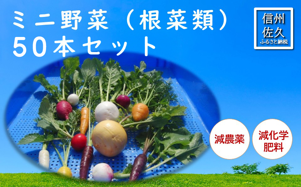 長野県佐久市産『ミニ野菜(根菜類)50本セット』（北海道・沖縄・離島は配送不可） 高原野菜 産地直送 新鮮 旬彩 減農薬 減化学肥料 信州 おまかせ【 長野県 佐久市 】