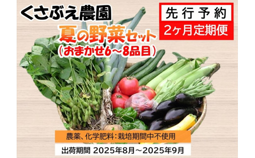 [先行予約 2ヶ月定期便] くさぶえ農園 夏の野菜セット(おまかせ6〜8品目) 高原野菜 無農薬[2025年8月1日出荷開始〜2025年9月30日出荷終了][有機野菜 有機栽培 くさぶえ農園 農薬や化学肥料を使用せず 長野県 佐久市 ]