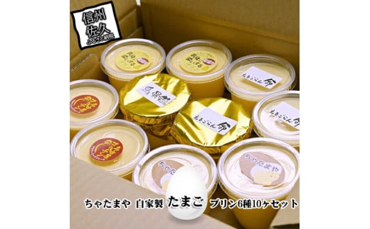 ちゃたまや 自家製たまごプリン6種10ヶセット プリン