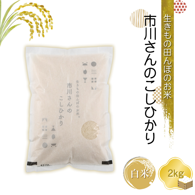 生きもの田んぼのお米 市川さんのこしひかり[白米2kg]農薬・化学肥料・除草剤不使用