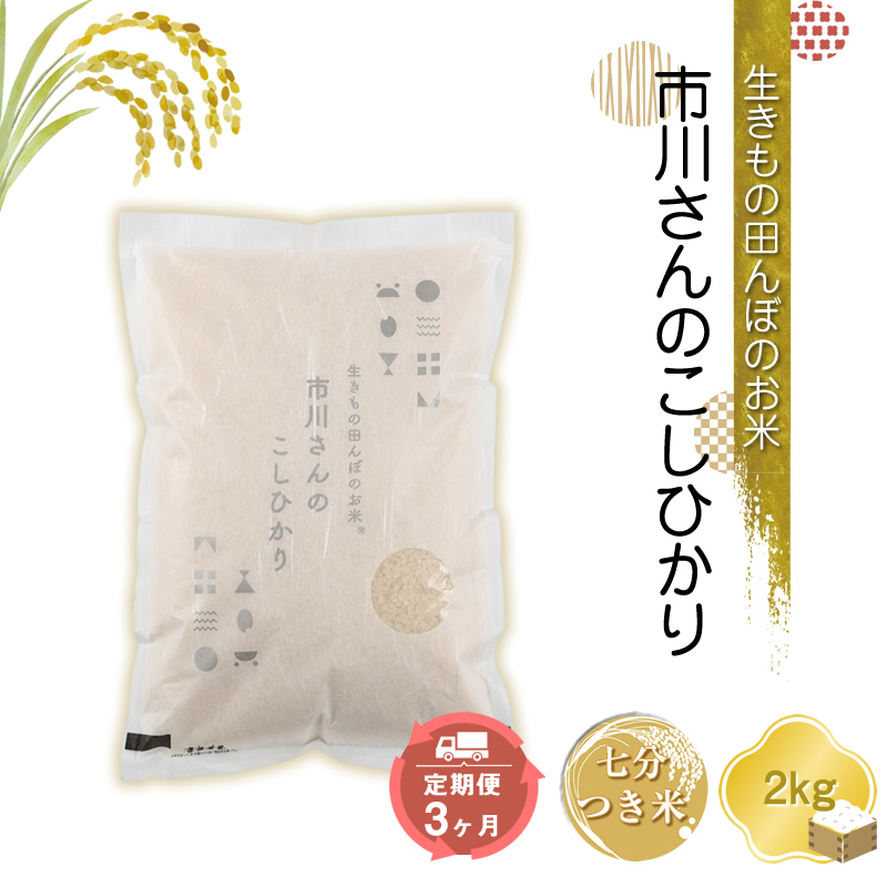 生きもの田んぼのお米 市川さんのこしひかり[七分つき米2kg×定期便3カ月]農薬・化学肥料・除草剤不使用