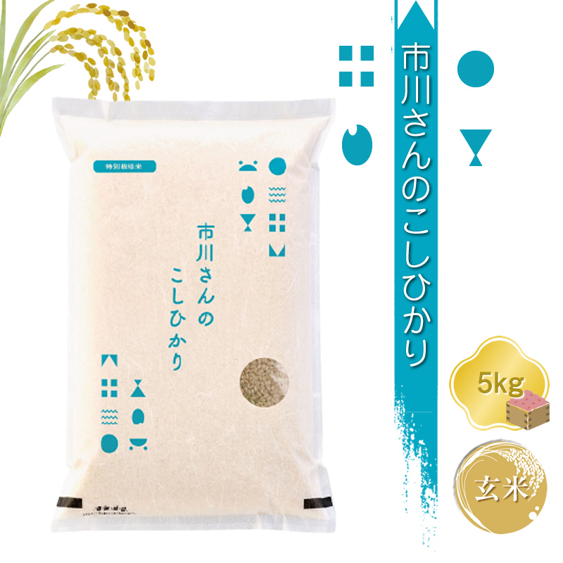 [令和7年産・玄米5kg]特別栽培米 市川さんのこしひかり (2025年11月出荷開始予定)先行予約 新米 信州[ 米 コメ 備蓄品 仕送り おすそ分け 備蓄米 長野県 佐久市 ]