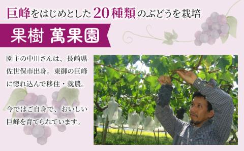 【萬果園】巨峰ジュース100％　1L　2本セット