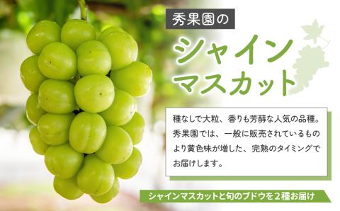 【予約受付2025年発送】シャインマスカットと旬のおすすめ3種セット（合計3～4房、約2kg）｜秀果園　※2025年9月下旬～10月順次発送予定
