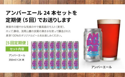 アンバーエール24本定期便（5回） クラフトビール