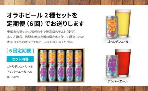 ゴールデンエール＆アンバーエール 10本定期便（6回） クラフトビール 飲み比べ