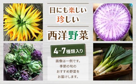 【アグロノーム】季節のお野菜セット（２~３人様向け）※2024年7月以降発送開始