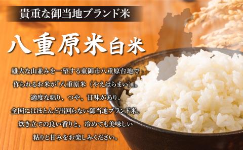 令和7年新米予約【6回定期便】八重原米6kg（2kg×3袋）白米　※2025年10月以降順次発送｜笹屋農園「農薬削減長野県認証取得」