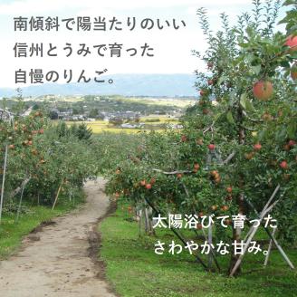 東御市産りんご 約3kg（ふじ）※11月下旬～12月中旬頃に順次発送予定