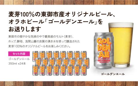 ゴールデンエール 24本セット クラフトビール