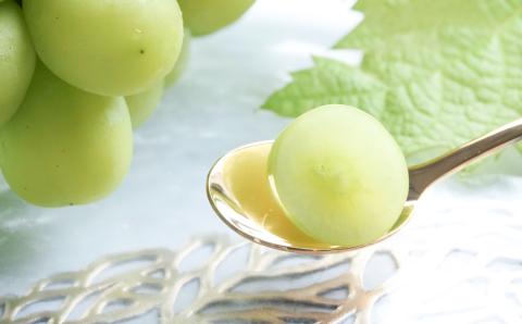 【先行予約】東御市産シャインマスカット＆ナガノパープル ※8月下旬?9月下旬頃発送 | 長野県 長野 人気 ぶどう 贈答用 ギフト 2房 フルーツ 果物 おすすめ 厳選 種無し 皮ごと 大粒 食べ比べ