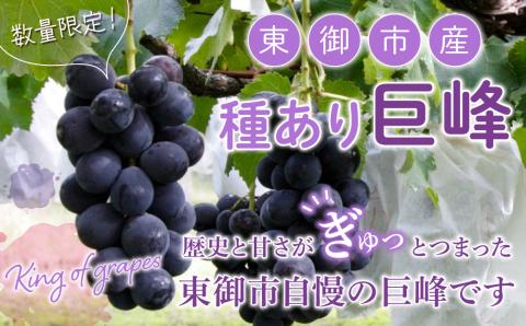 東御市産種あり巨峰約2kg【秋お届け】