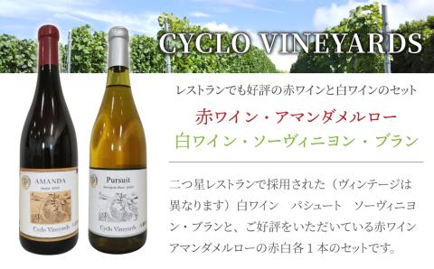 （年内発送）ミシュラン星獲得レストラン採用の赤・白ワイン【496ワイナリー】｜メルロー、ソーヴィニヨンブラン各1本