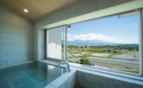 信州八重原温泉　アートヴィレッジ明神館　宿泊補助券