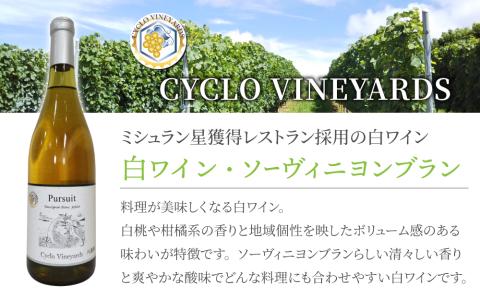 （年内発送）ミシュラン星獲得レストラン採用の白ワイン【496ワイナリー】｜ソーヴィニヨンブラン1本
