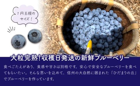 朝摘み大粒ブルーベリー500g