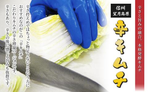 信州望月高原辛キムチ（３個セット）