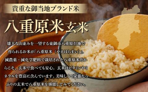 令和7年新米予約【9回定期便】八重原米5kg（5kg×1袋）玄米　※2025年10月以降順次発送｜笹屋農園「農薬削減長野県認証取得」