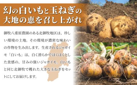 【先行受付2025年発送予定】白いも(M?Lサイズ）と玉ねぎ（L?2Lサイズ）各5・｜じゃがいも【数量限定】詰め合わせ※2025年8月下旬～10月下旬に順次発送予定※着日指定不可