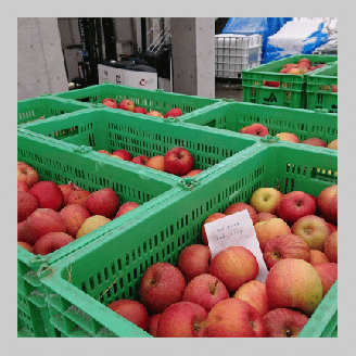 「トロワジエーム」ふじシードル2020年産／発泡性リンゴのお酒 | りんご 500ml 1本