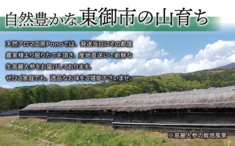 【先行予約2024年発送】栽培期間中出来るだけ農薬を減らして作った生高麗人参 6年生 約100ｇ（2024年9月?10月お届け予定）