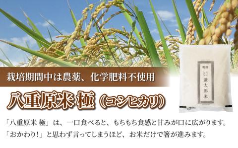 【太陽と大地】八重原産コシヒカリ白米「極」（栽培期間中農薬化学肥料不使用）1kg