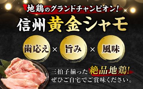【１２回定期便 】朝びき！信州黄金シャモモモ・ムネ肉セット