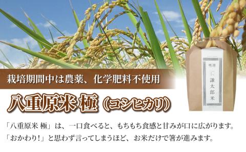 【太陽と大地】令和7年産「八重原産コシヒカリ白米「極」（栽培期間中農薬化学肥料不使用）４kg」※2025年10月中旬以降発送