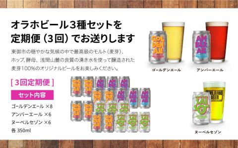 【3回定期便】オラホビール20本（3種合計20本）