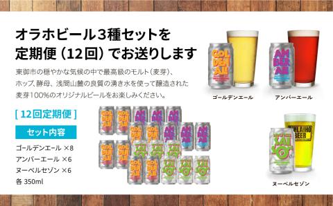 【12回定期便】オラホビール20本（3種合計20本）