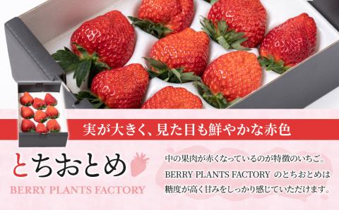 【BERRY PLANTS FACTORY】大粒いちご！「とちおとめ」と「さちのか」のセット