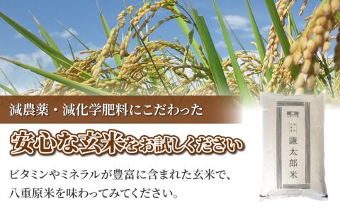 【太陽と大地】八重原産特別栽培米（減農薬・減化学肥料栽培）コシヒカリ玄米１０kg