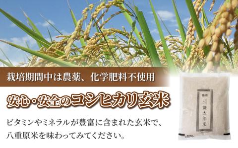 【太陽と大地】八重原産コシヒカリ玄米「極」（栽培期間中農薬化学肥料不使用）1kg
