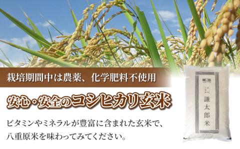 【太陽と大地】令和7年産「八重原産コシヒカリ玄米「極」（栽培期間中農薬化学肥料不使用）８kg」※2025年10月中旬以降発送