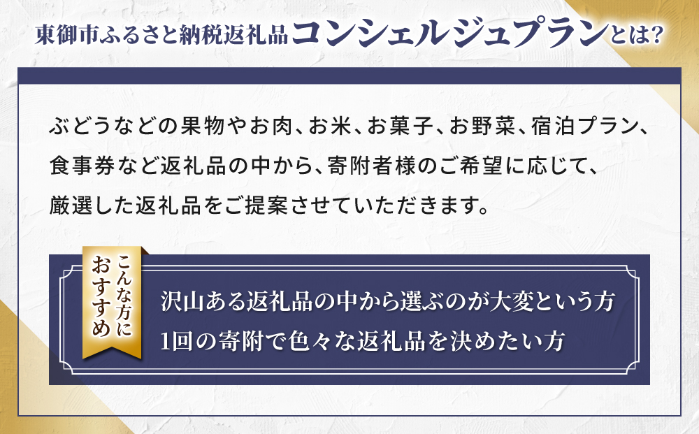 あなただけのオーダーメイド【東御市コンシェルジュ】10万円コース