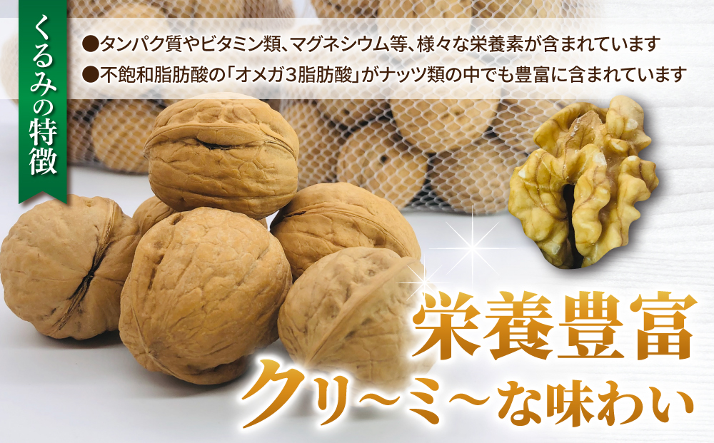 【アルファーム】信濃くるみ　殻付きタイプ（Mサイズ）