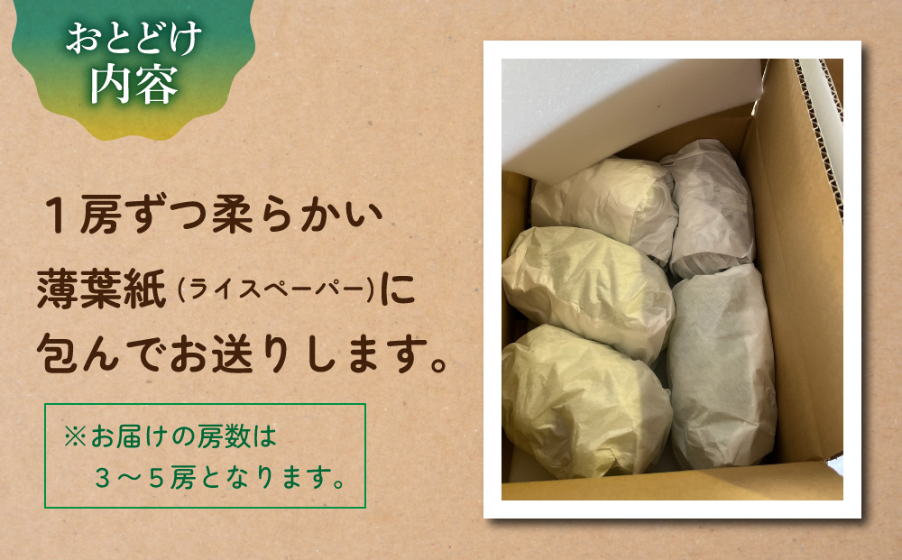 先行受付2026年発送【土屋農園】農家直送！シャインマスカット2kg（3～5房）※2026年9月下旬～10月中旬順次発送