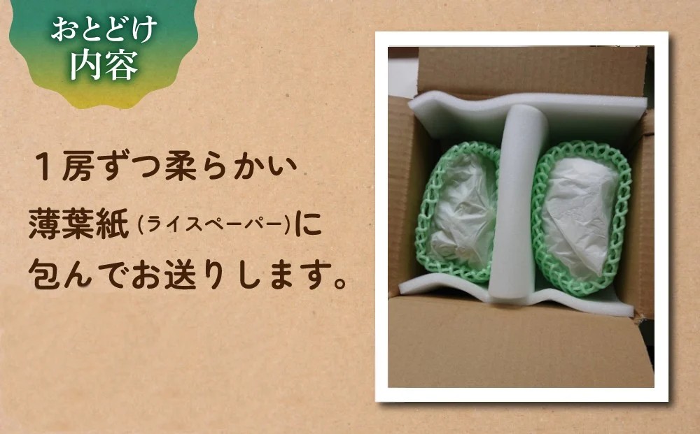 先行受付2026年発送【土屋農園】農家直送！シャインマスカット２房（約1.2kg）※2026年9月下旬～10月中旬順次発送