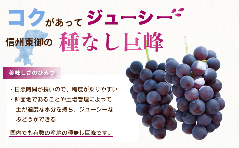 【先行受付2025年発送】種無し巨峰2kg 良品サイズ色々詰め合わせ｜Ruga grape farm　※2025年8月下旬~10月上旬頃発送予定