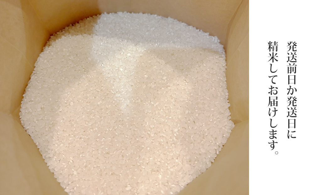 【先行受付2026年発送】R8年産コシヒカリ　5kg｜Ruga grape farm　※2026年10月中旬以降発送予定