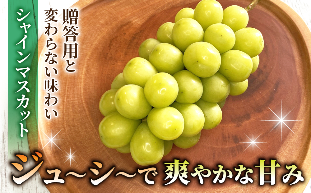 【おがわら農園】家庭用欲張りセット！（シャインマスカット3房・種無し巨峰3～4房）約2.8～3kg