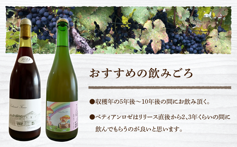 ドメーヌナカジマ 2023 3種セット