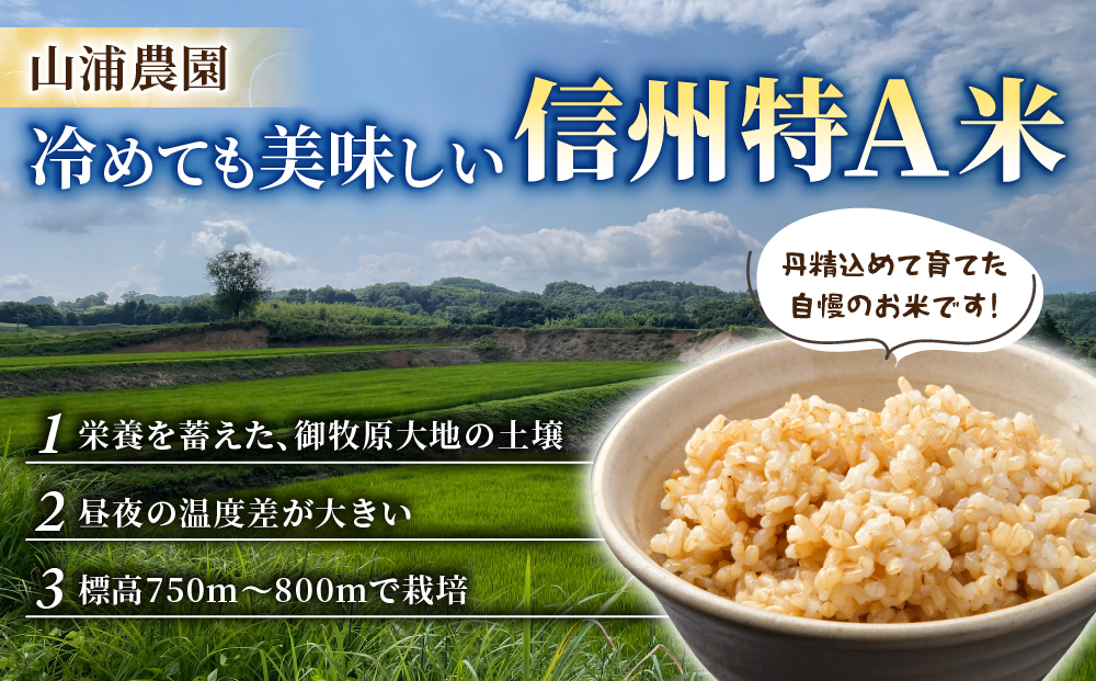 令和7年産新米予約【長野県東御市産】信州特Ａ米コシヒカリ玄米5kg｜※2025年10月より順次発送予定
