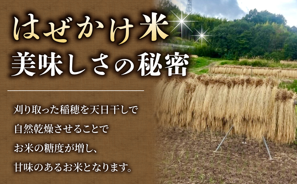 令和7年新米予約！標高700mの台地で稲作一筋の農家が育てたはぜかけ八重原米5kg（5kg×1袋）玄米　※2025年11月上旬以降順次発送｜山陽農園　コシヒカリ 特A良質米