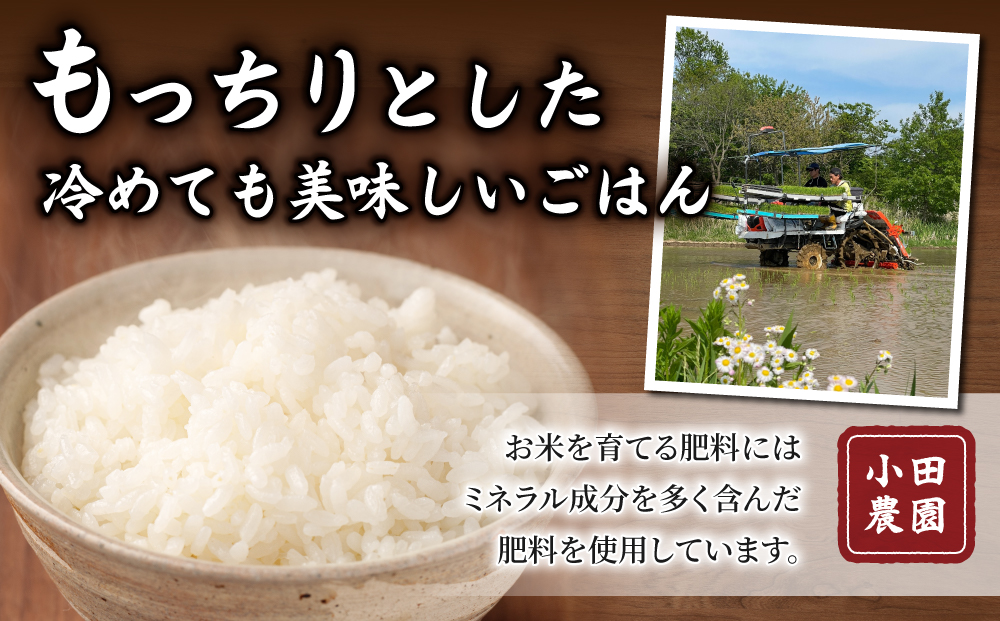 【小田農園】冷めても美味しいコシヒカリ　白米4kg　｜※2025年9月下旬以降、発送開始予定　※着日指定不可
