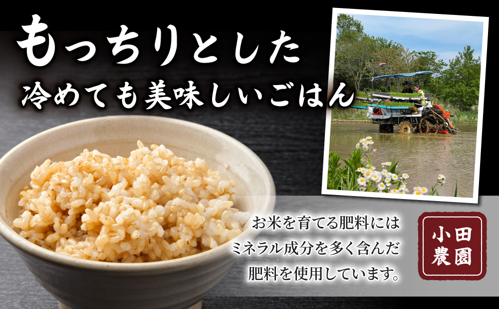 【小田農園】冷めても美味しいコシヒカリ　玄米5kg　｜※2025年9月下旬以降、発送開始予定　※着日指定不可