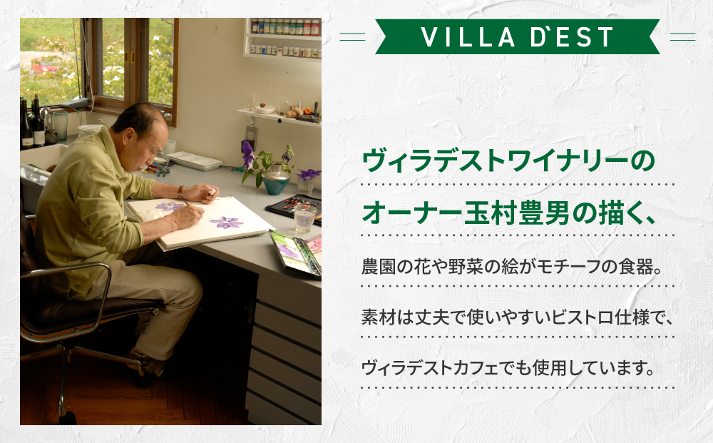 【ヴィラデストワイナリー】ベジタブルシリーズ食器　オーバルプレート（楕円形）２枚（エンドウとズッキーニ）セット