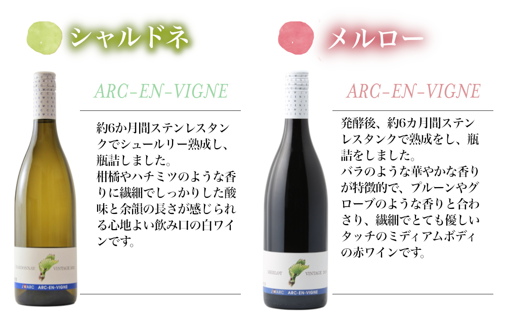 【アルカンヴィーニュ】定番ワイン 赤白2本セット (シャルドネ・メルロー) ｜ ワインセット 辛口 お酒 ギフト プレゼント 果実酒 瓶 国産 信州 長野県東御市 飲み比べ 日本ワイン 長野ワイン 東御ワイン ミディアム 人気