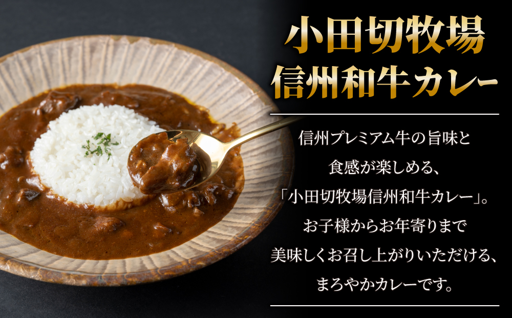 小田切牧場 信州和牛カレー５個セット（１個1人前160g）